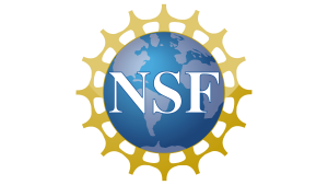 NSF logo